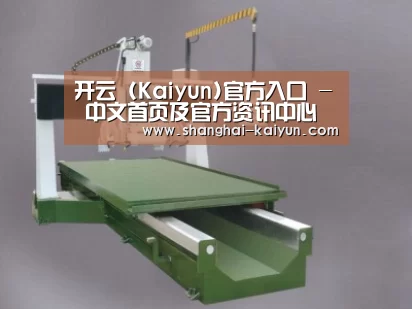 产品名称九